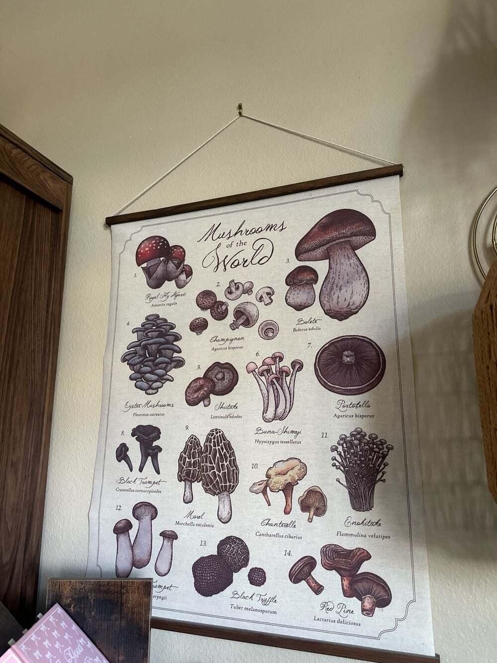 Earthbound Mushrooms of the World Canvas Wall Hanging with Wooden Dowel